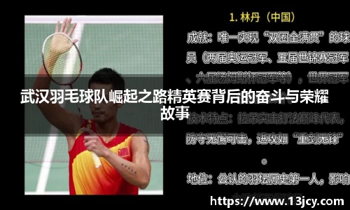 武汉羽毛球队崛起之路精英赛背后的奋斗与荣耀故事